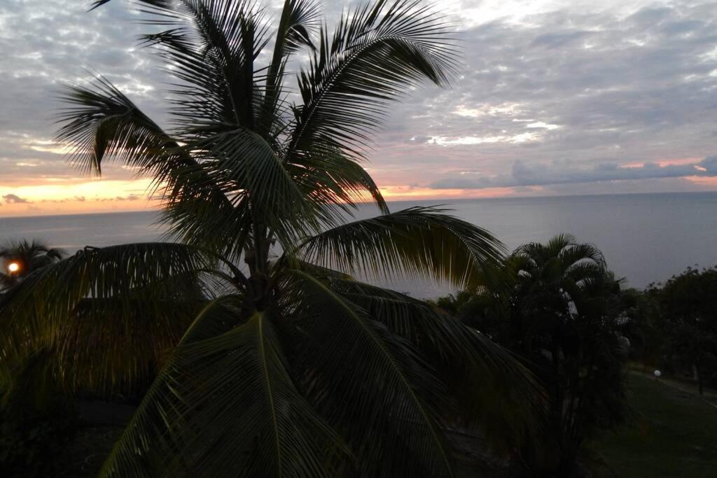 Le Morne Charlotte Villa Le Carbet Eksteriør bilde